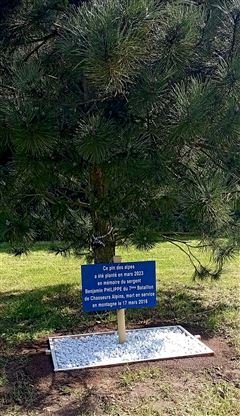 Plaque commémorative pin