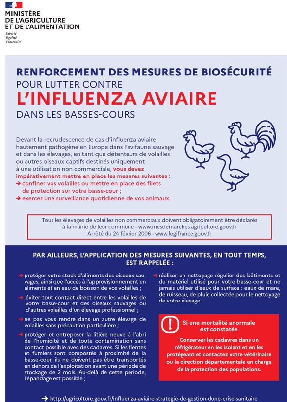 influenza
